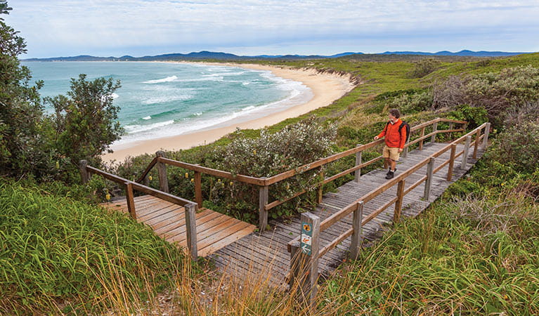 Yuraygir National Park, New South Wales, Australia.